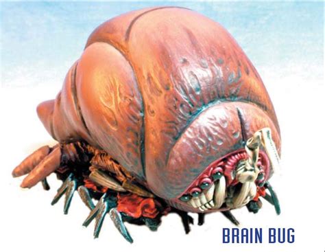 Brain bug